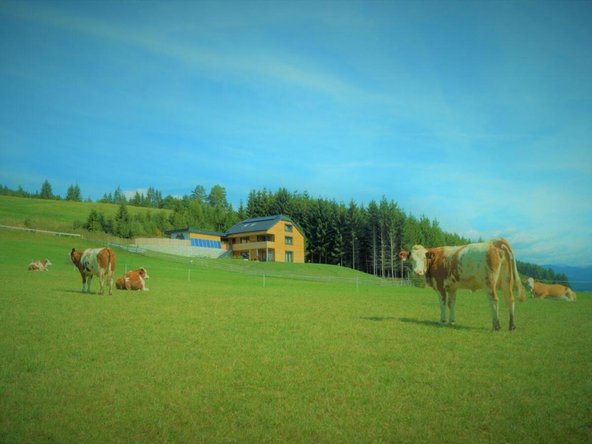 Chalet Traumblick Mauterndorf  Exterior foto